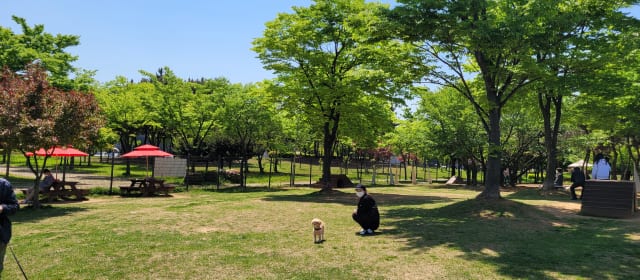 성곡반려견놀이터 사진 4