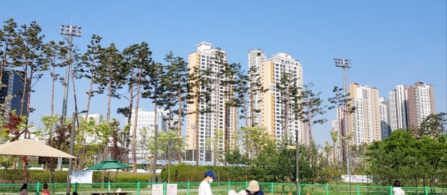 동탄여울공원 반려가족놀이터 사진 3