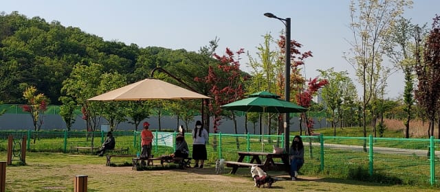 동탄여울공원 반려가족놀이터 사진 4