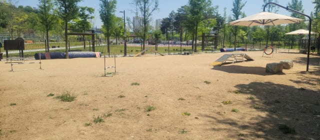 양주시 반려견놀이터 사진 2