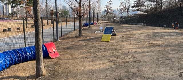 양주시 반려견놀이터 사진 3