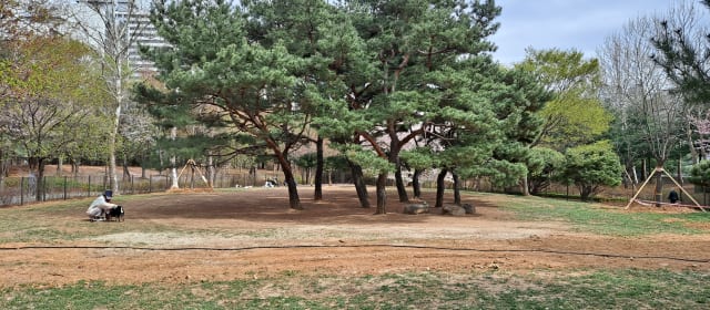 일산서구 반려동물공원 사진 2