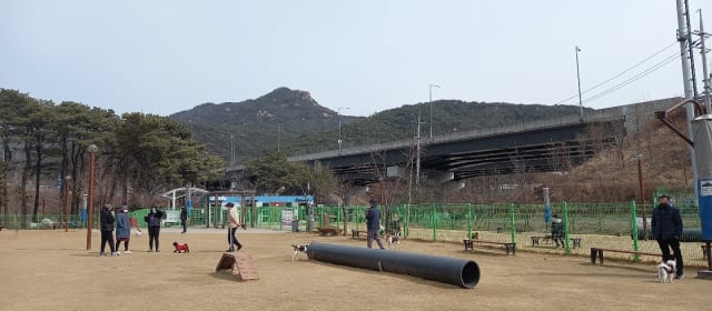 삼막애견공원 사진 3