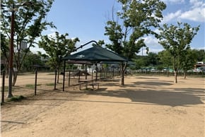 광교호수공원애견놀이터 사진 2