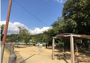 광교호수공원애견놀이터 사진 3