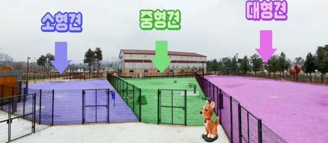 덕수공원반려견놀이터 사진 4