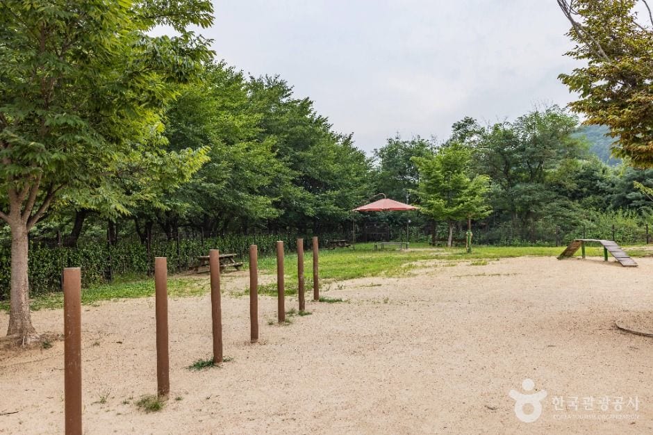 인천대공원 반려동물 놀이터 사진 5