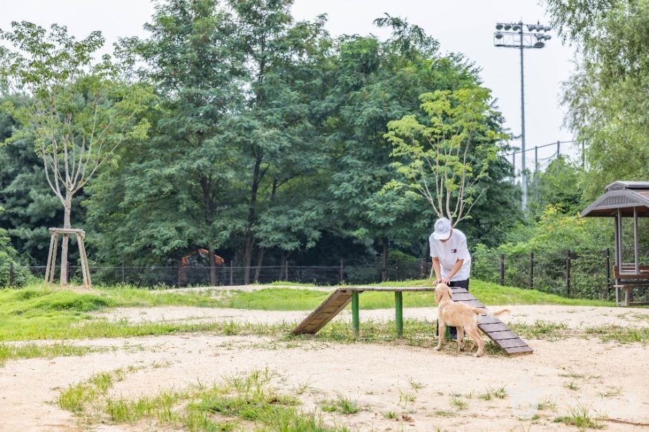 인천대공원 반려동물 놀이터 사진 7