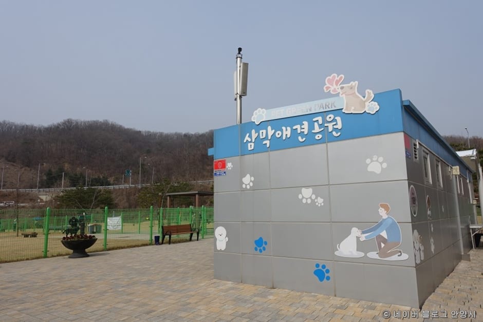 삼막애견공원 사진 6