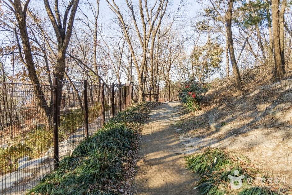 포항시 댕댕동산 사진 3