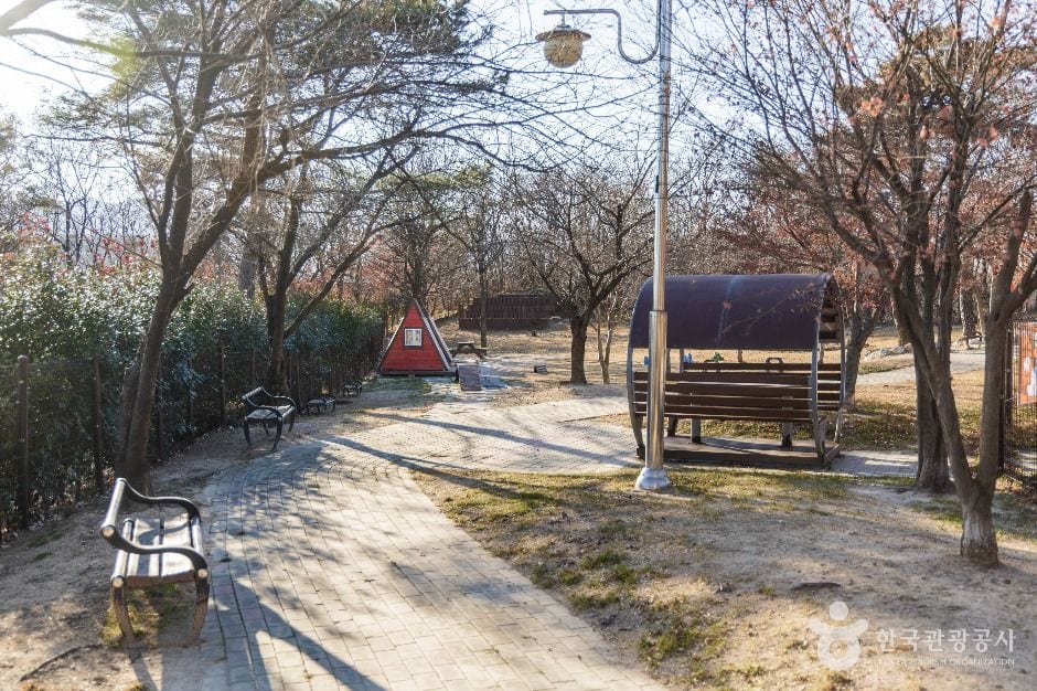 포항시 댕댕동산 사진 4