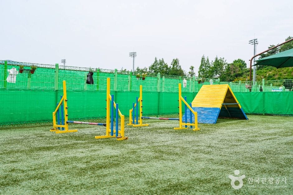 울산애견공원 (문수국제양궁장) 사진 3
