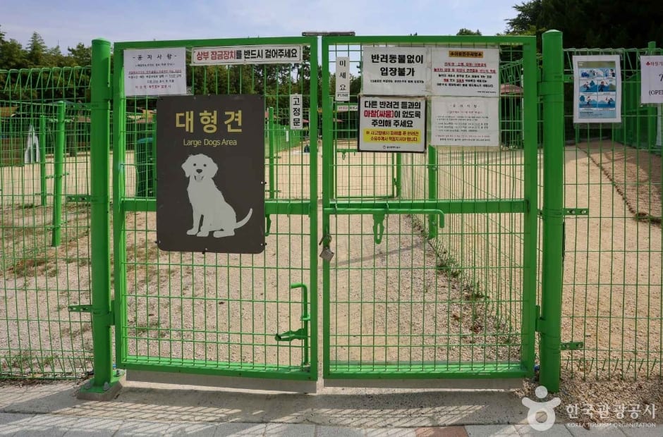봉화재 반려견 놀이터 사진 3
