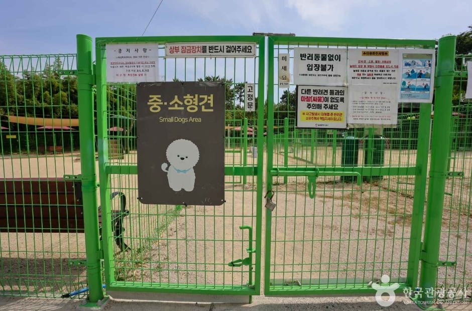 봉화재 반려견 놀이터 사진 4