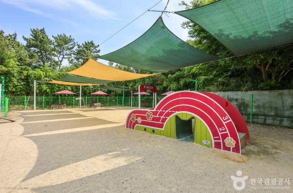 봉화재 반려견 놀이터 사진 6