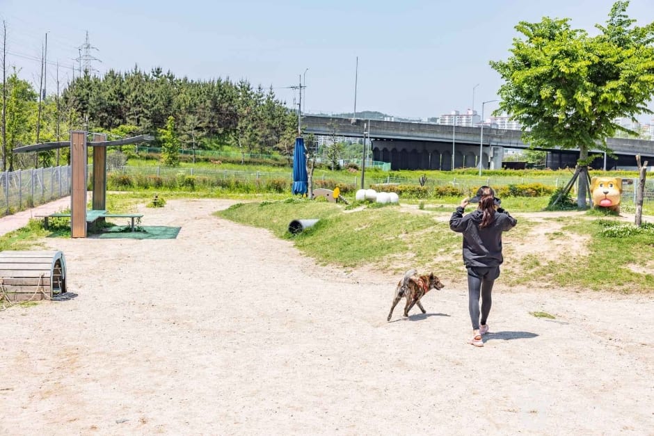 진주휴게소 반려견 놀이터 (남해선 부산방향) 사진 7